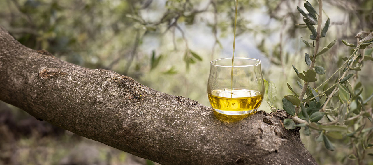Bicchierino per assaggiatore di olio