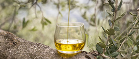 Bicchierino per assaggiatore di Olio