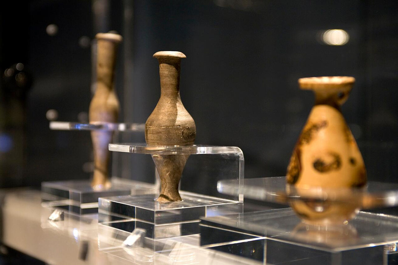 Sala bellezza del Museo dell Olivo Carli.