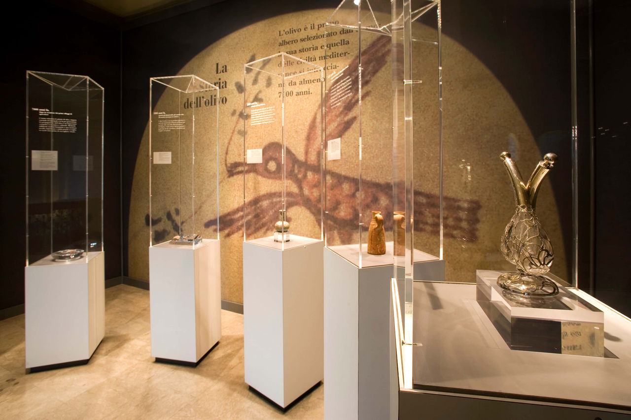 Reperti storici esposti al Museo dell Olivo Carli.
