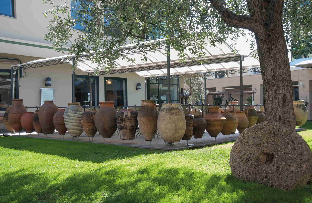 Frantoio storico del Museo dell Olivo Carli.