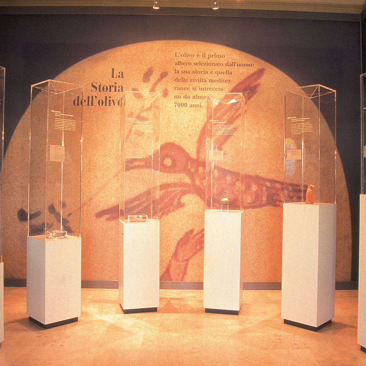 Una sala del Museo dell’Olivo Carlo Carli