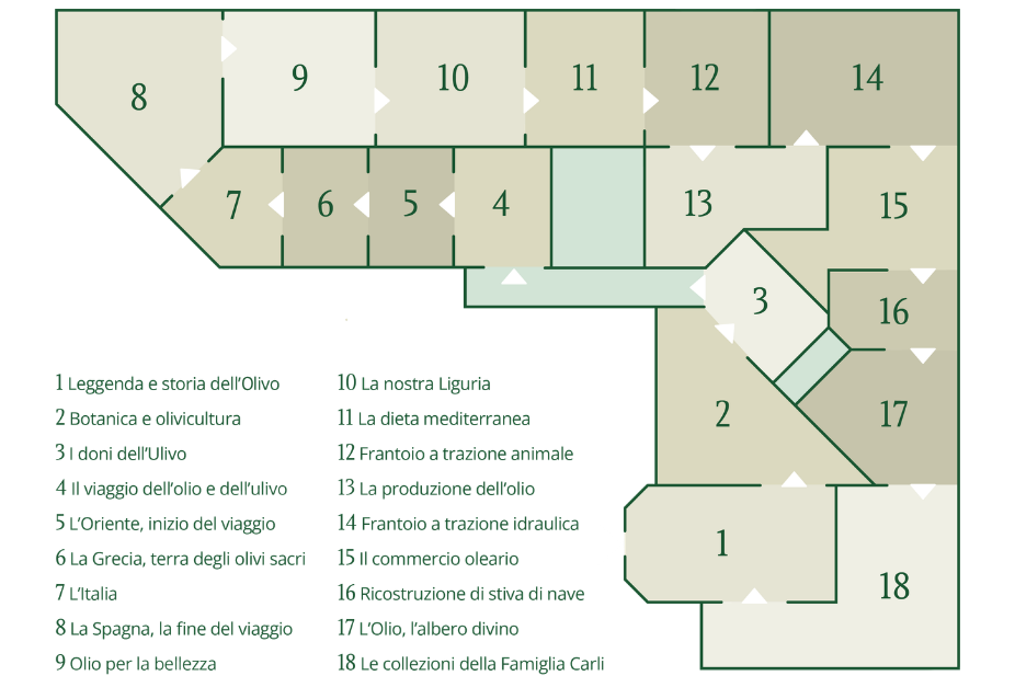 Mappa interattiva delle diciotto sale del Museo dell’Olivo
