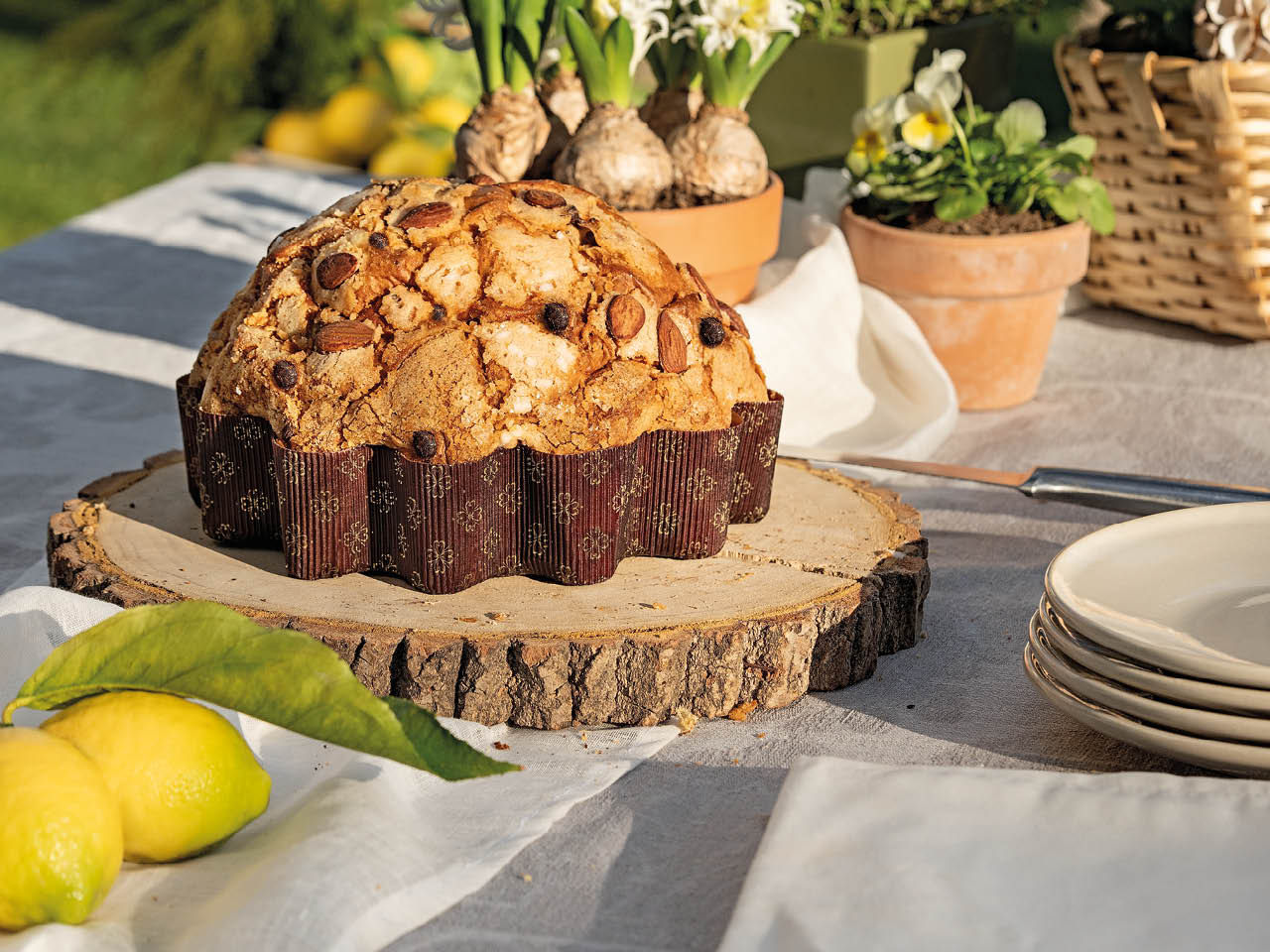 Fiore di Pasqua al Cioccolato Fratelli Carli