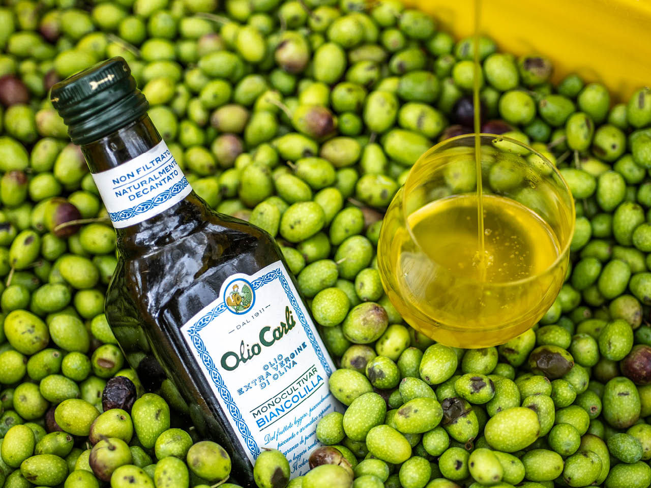 Seconda immagine con olio monocultivar Biancolilla Carli.