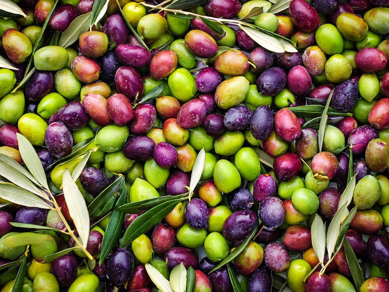 Olive liguri IGP in salamoia Carli in ciotola.