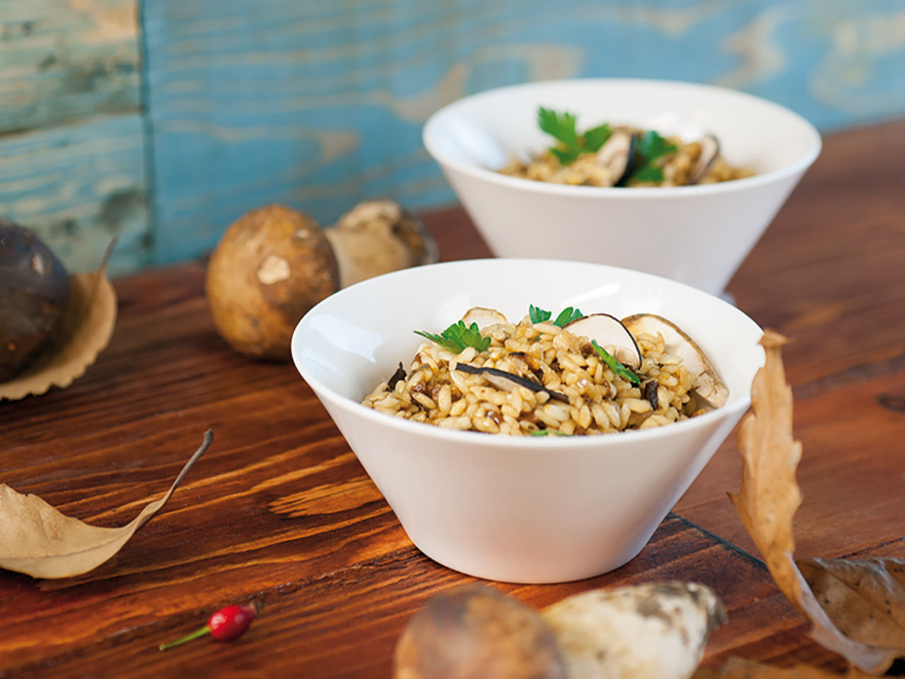 Piatto di Risotto ai funghi porcini Fratelli Carli